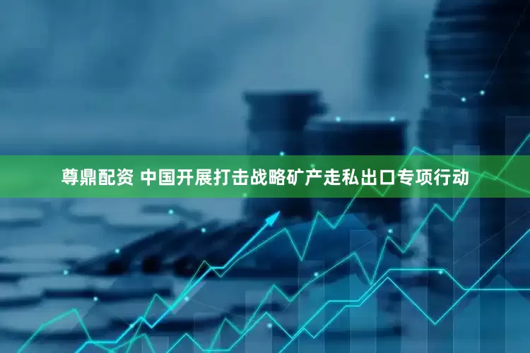 尊鼎配资 中国开展打击战略矿产走私出口专项行动