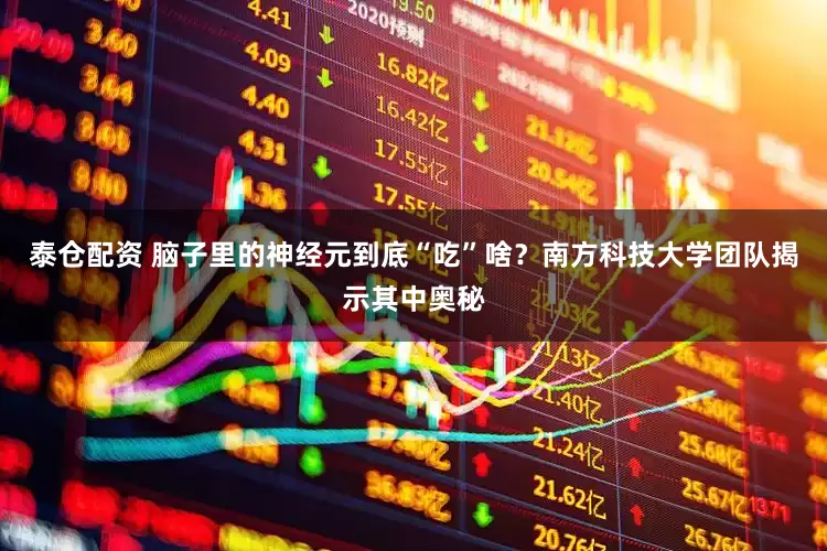 泰仓配资 脑子里的神经元到底“吃”啥？南方科技大学团队揭示其中奥秘