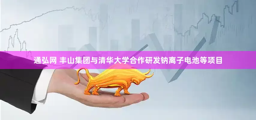 通弘网 丰山集团与清华大学合作研发钠离子电池等项目